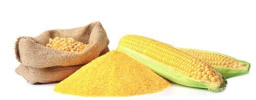 Maize