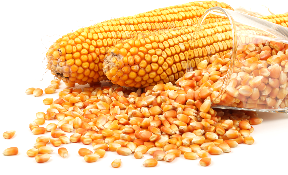 Agri-Business